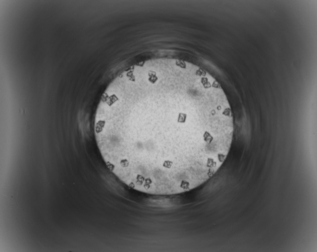 X0000083030381200703022032