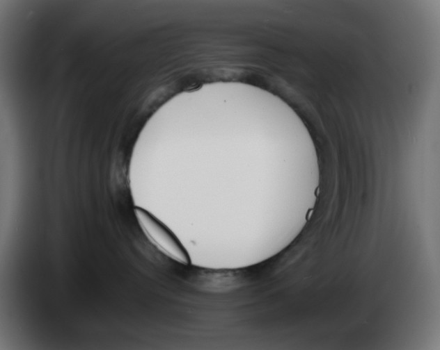 X0000083030384200703022032