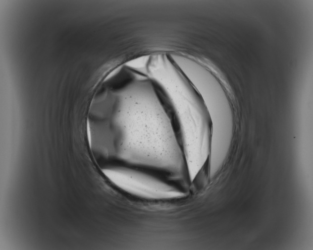 X0000083030385200703022031