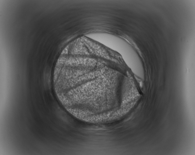 X0000083030386200703022031