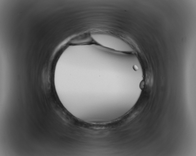 X0000083030388200703022031