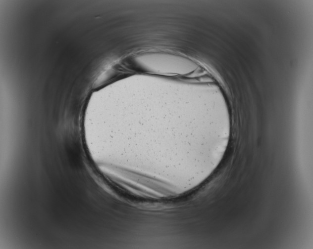 X0000083030389200703022031