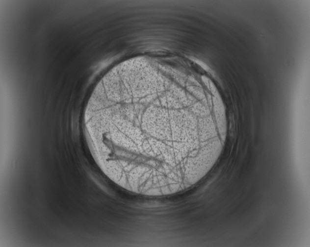 X0000083030390200703022031