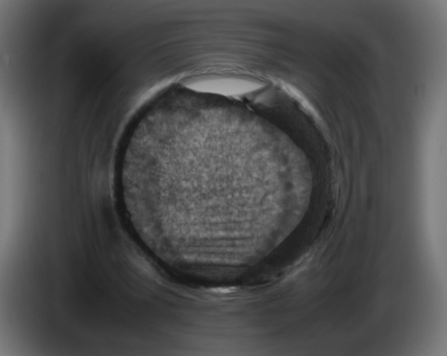 X0000083030391200703022031