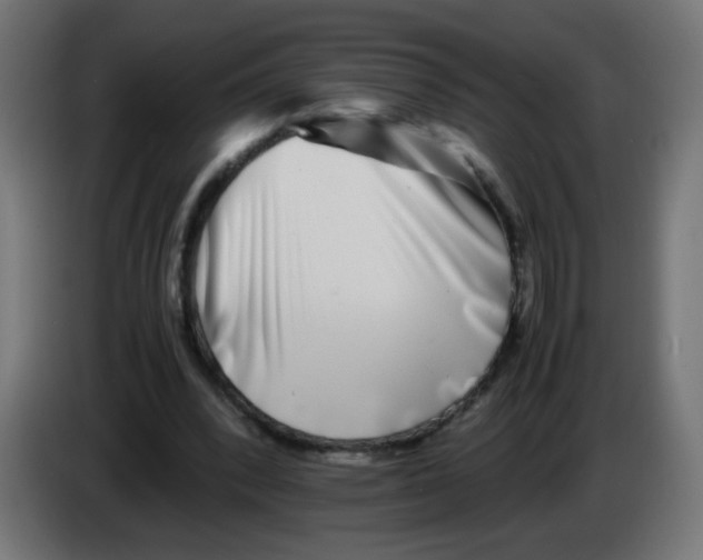 X0000083030392200703022031