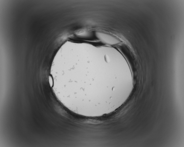 X0000083030393200703022031