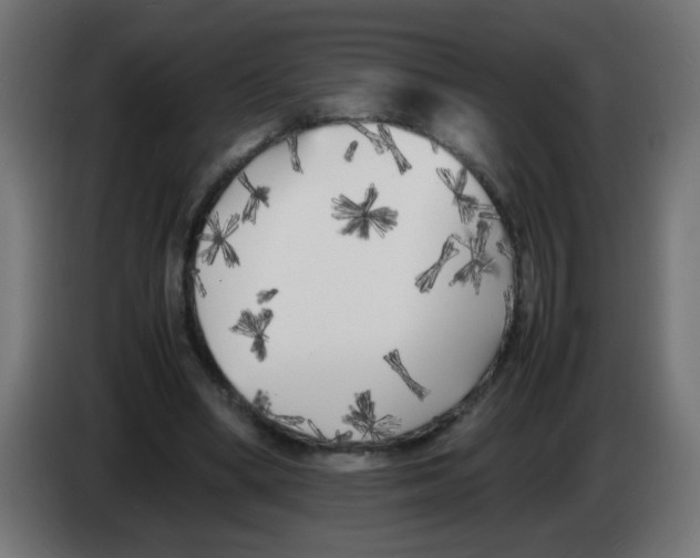 X0000083030394200703022031