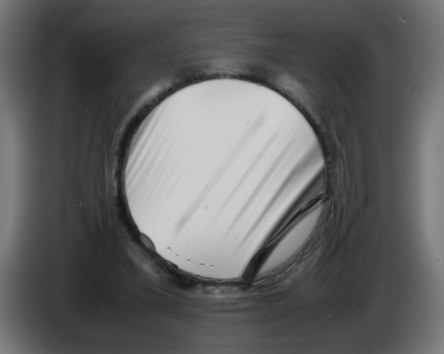 X0000083030395200703022031