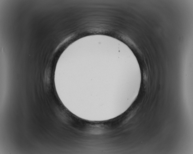 X0000083030396200703022031