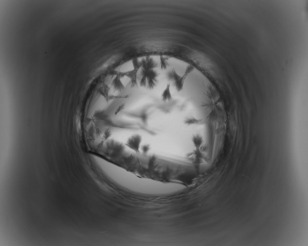 X0000083030398200703022031