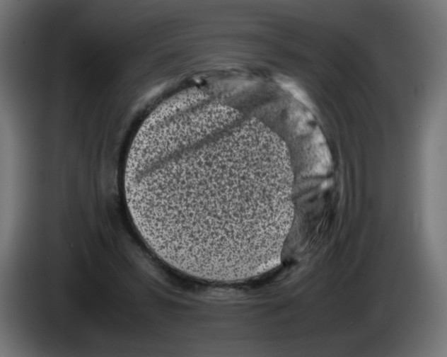 X0000083030399200703022031