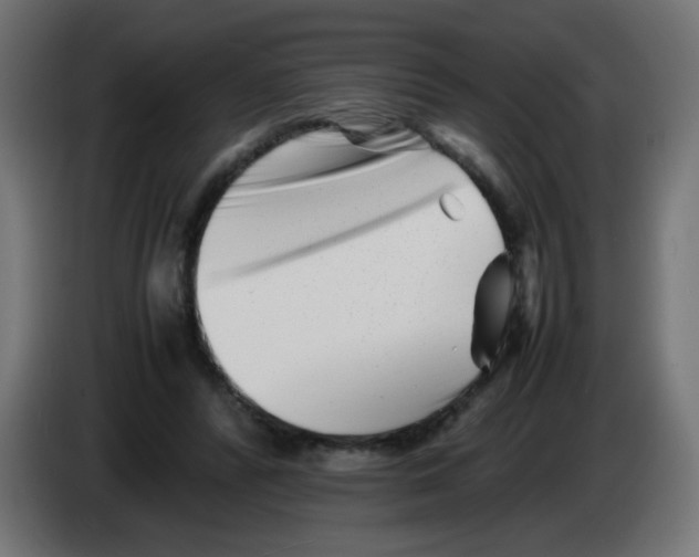 X0000083030400200703022031