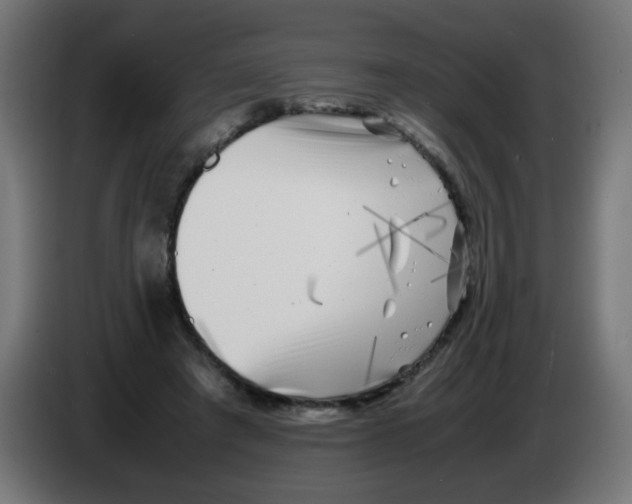 X0000083030401200703022031