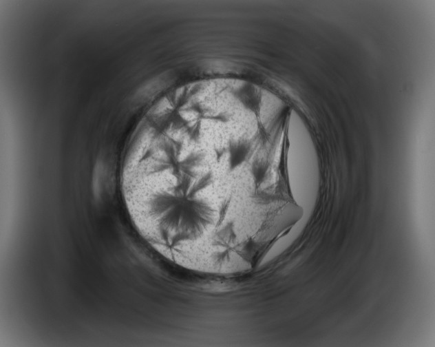 X0000083030402200703022031