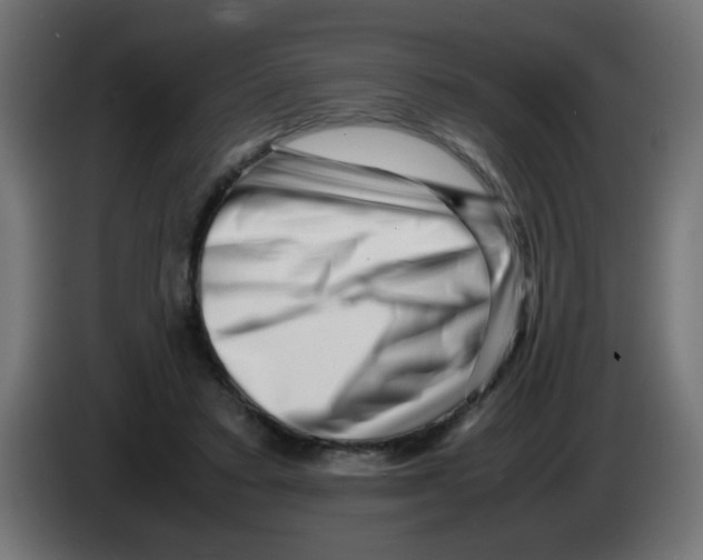 X0000083030403200703022031