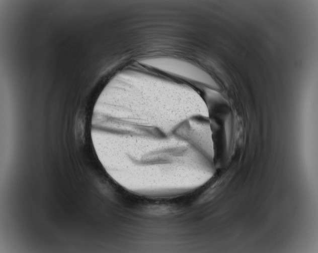 X0000083030404200703022031