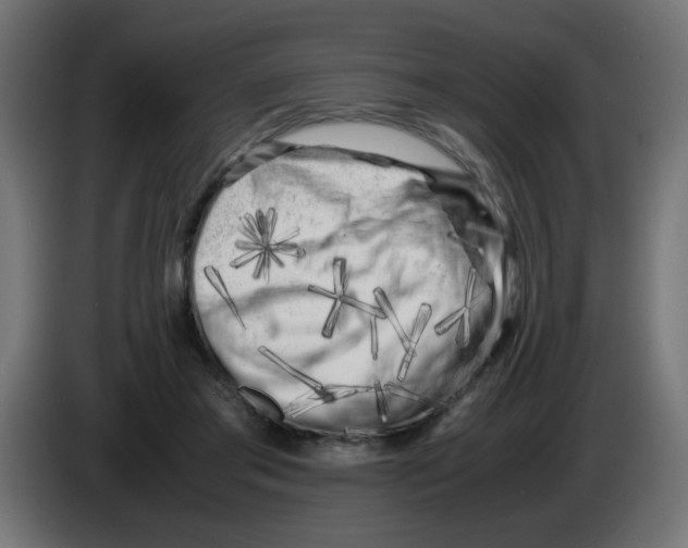 X0000083030405200703022031