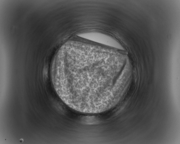 X0000083030406200703022031