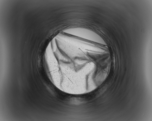 X0000083030408200703022031