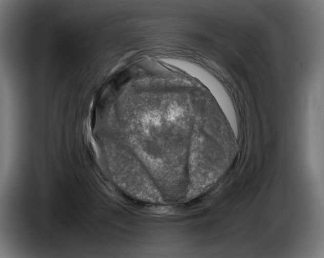 X0000083030409200703022030