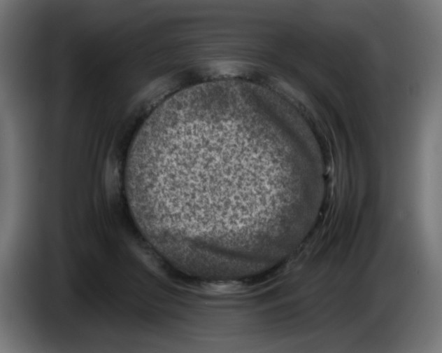 X0000083030410200703022030