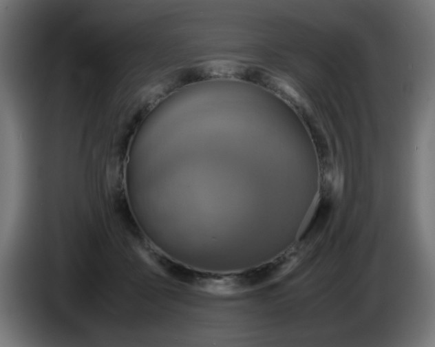 X0000083030411200703022030