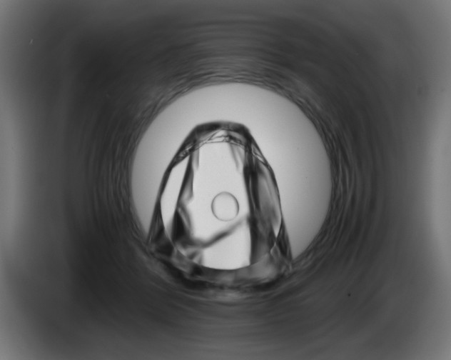 X0000083030412200703022030