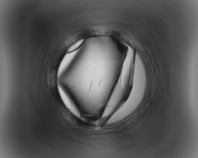 X0000083030413200703022030