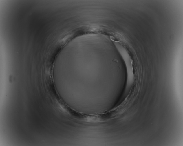 X0000083030415200703022030