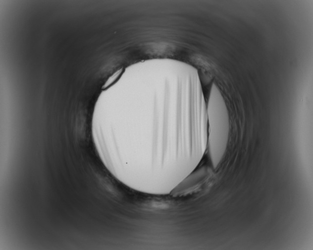 X0000083030416200703022030