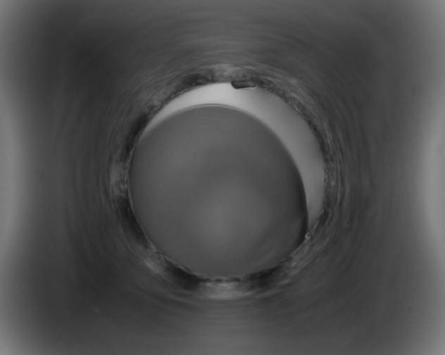 X0000083030419200703022030