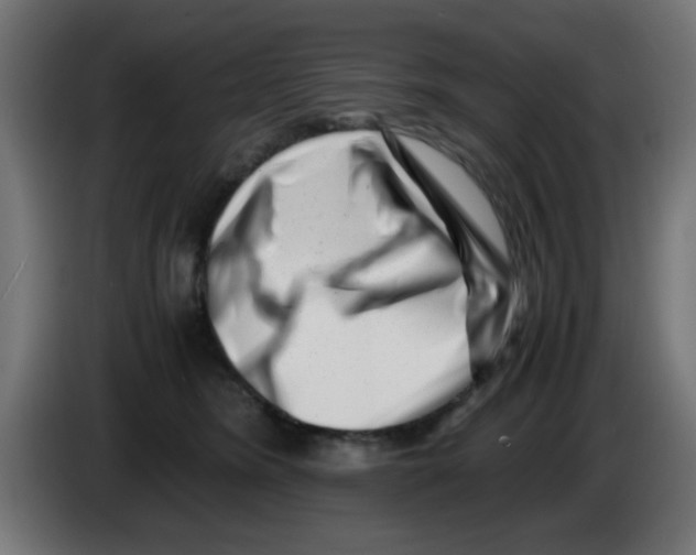 X0000083030420200703022030