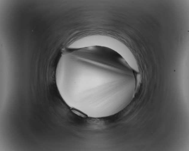 X0000083030421200703022030