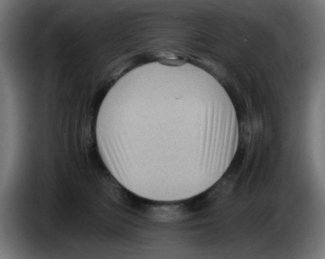 X0000083030422200703022030