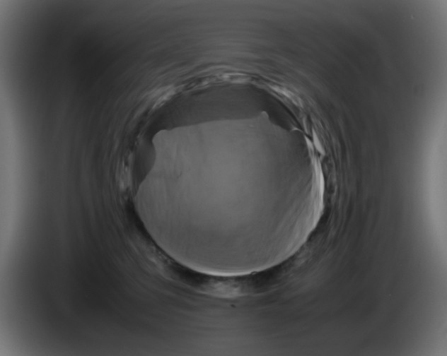 X0000083030423200703022030