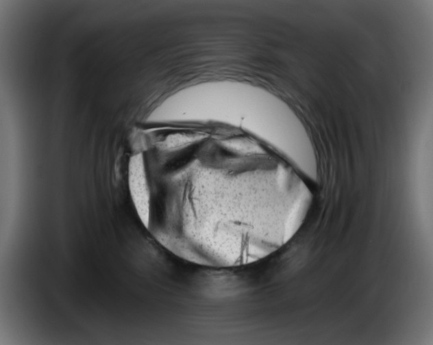 X0000083030424200703022030