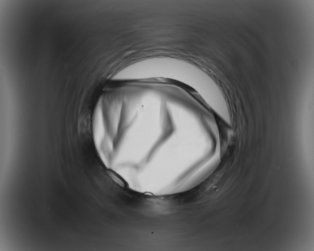 X0000083030425200703022030