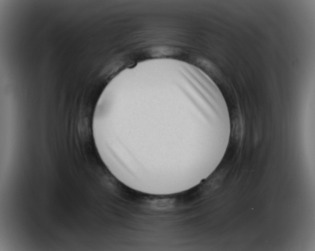 X0000083030426200703022030