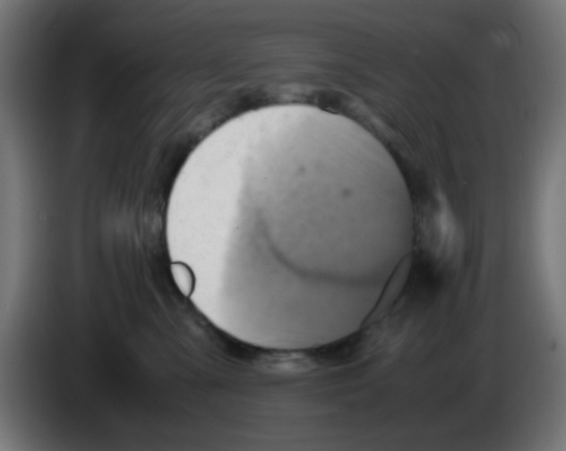 X0000083030427200703022030