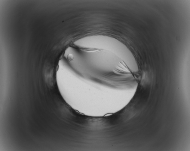 X0000083030428200703022030