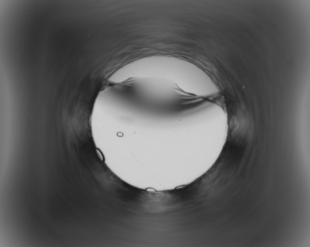 X0000083030429200703022030