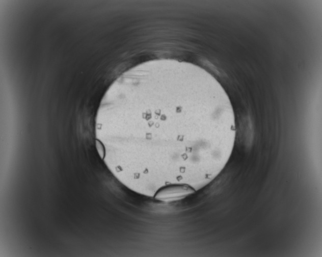 X0000083030430200703022030