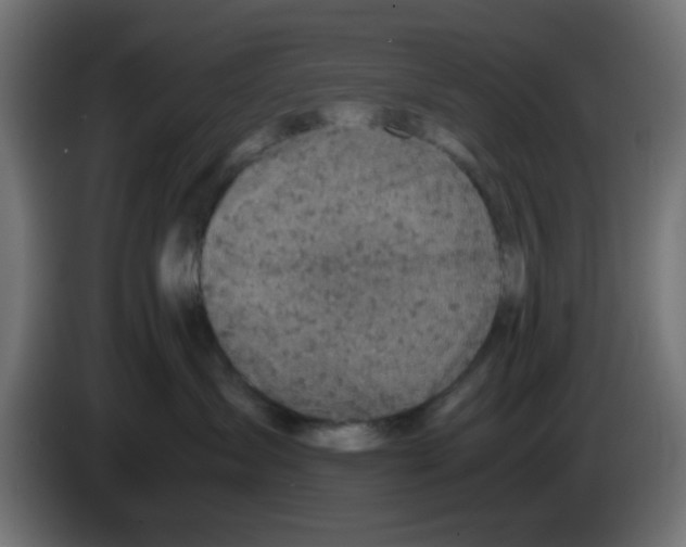 X0000083030431200703022030