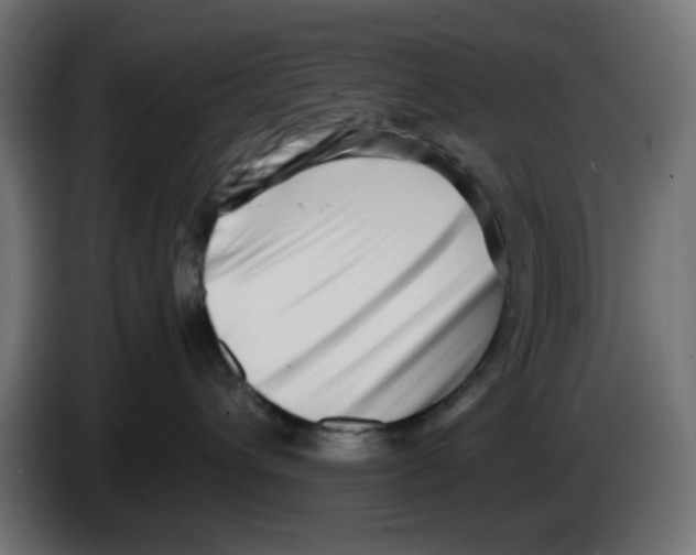 X0000083030432200703022030