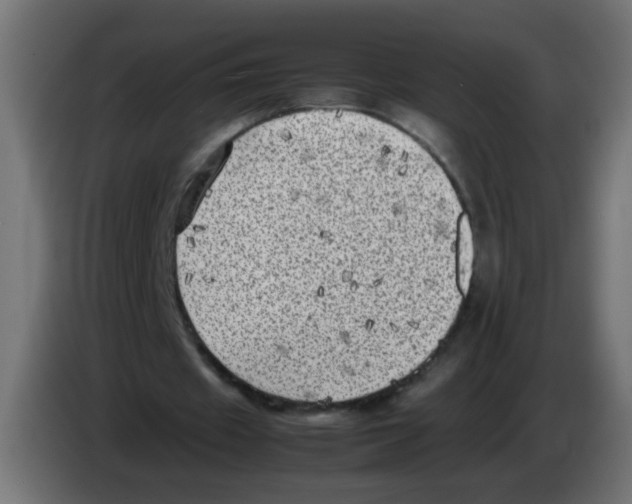 X0000083030433200703022029