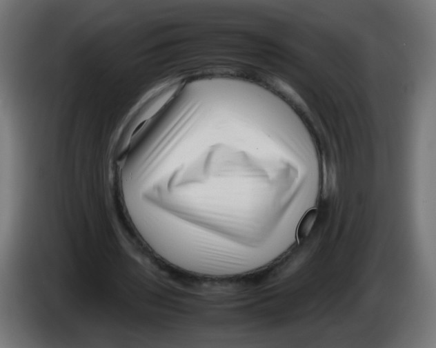 X0000083030435200703022030