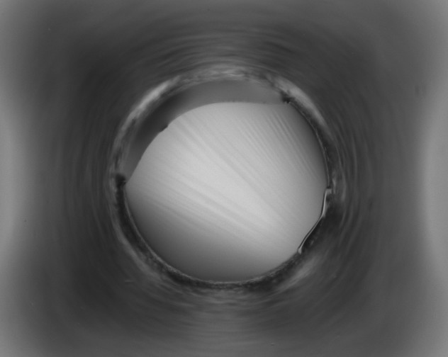 X0000083030436200703022030