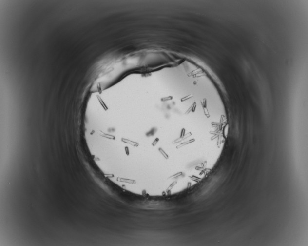 X0000083030437200703022030