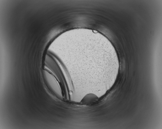 X0000083030438200703022030