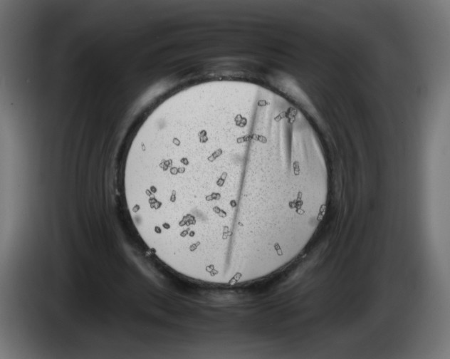 X0000083030439200703022030